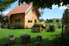 Apartments Vila Selena - Golija, Rudno